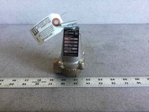 Bell & Gossett Relief Valve 790-30