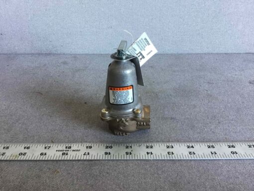Bell & Gossett Relief Valve 790-30 - Image 2