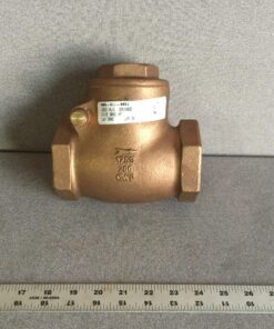 222130025 Check Valve