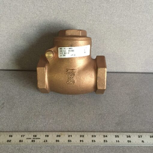 222130025 Check Valve