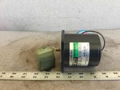 Oriental Motor 4I25GN-AUL Motor