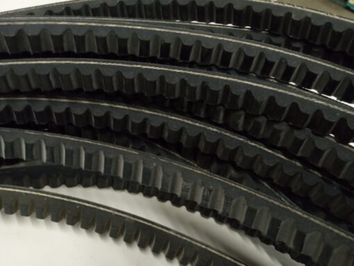 B47 Belt - Image 2