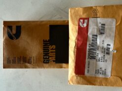 Cummins Screw 3908612