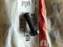 Cummins Screw 175834