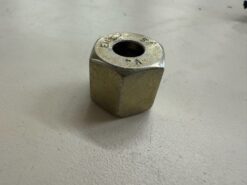 Alternative view of Nut